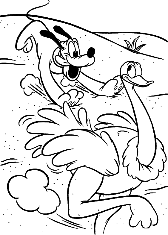 Coloriage Pluto Court Après Une Autruche - Animaux à imprimer