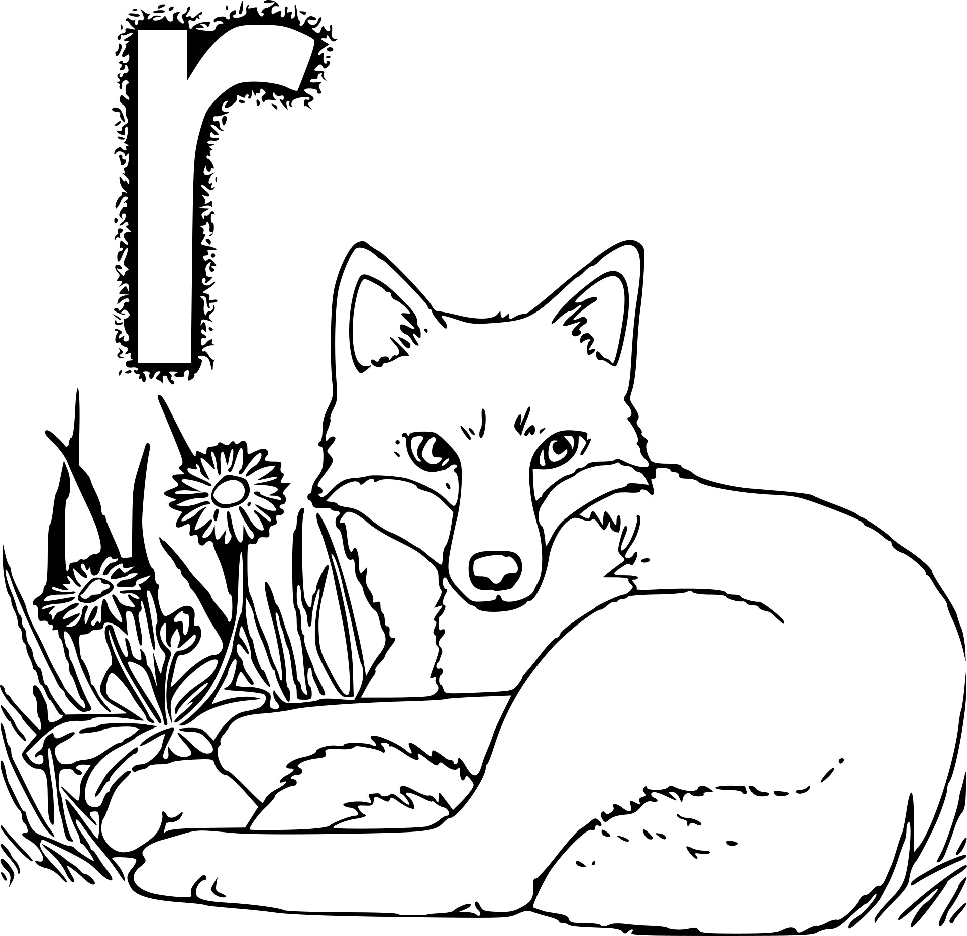 Coloriage R Comme Renard - Renard à imprimer