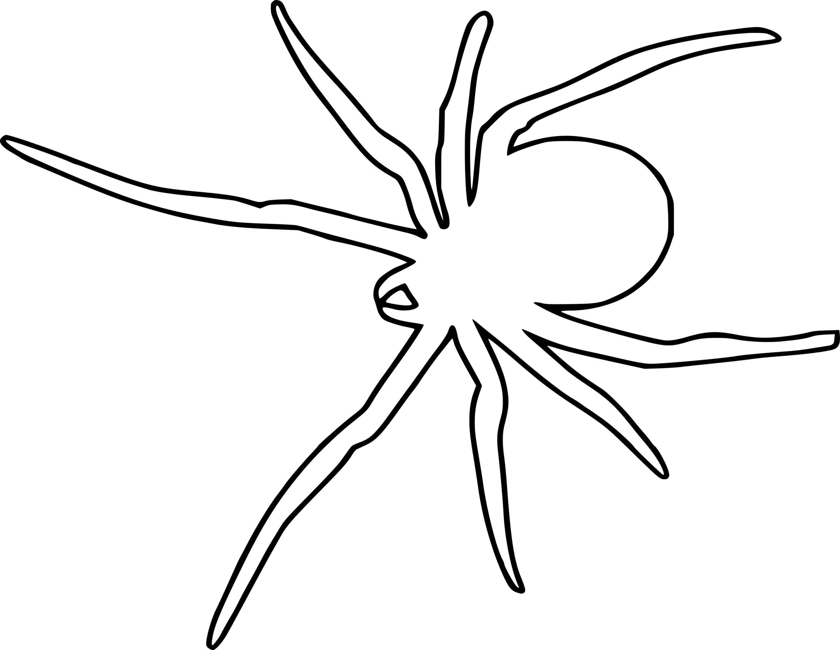 Coloriage Scary Araignée Insecte - Araignée à imprimer