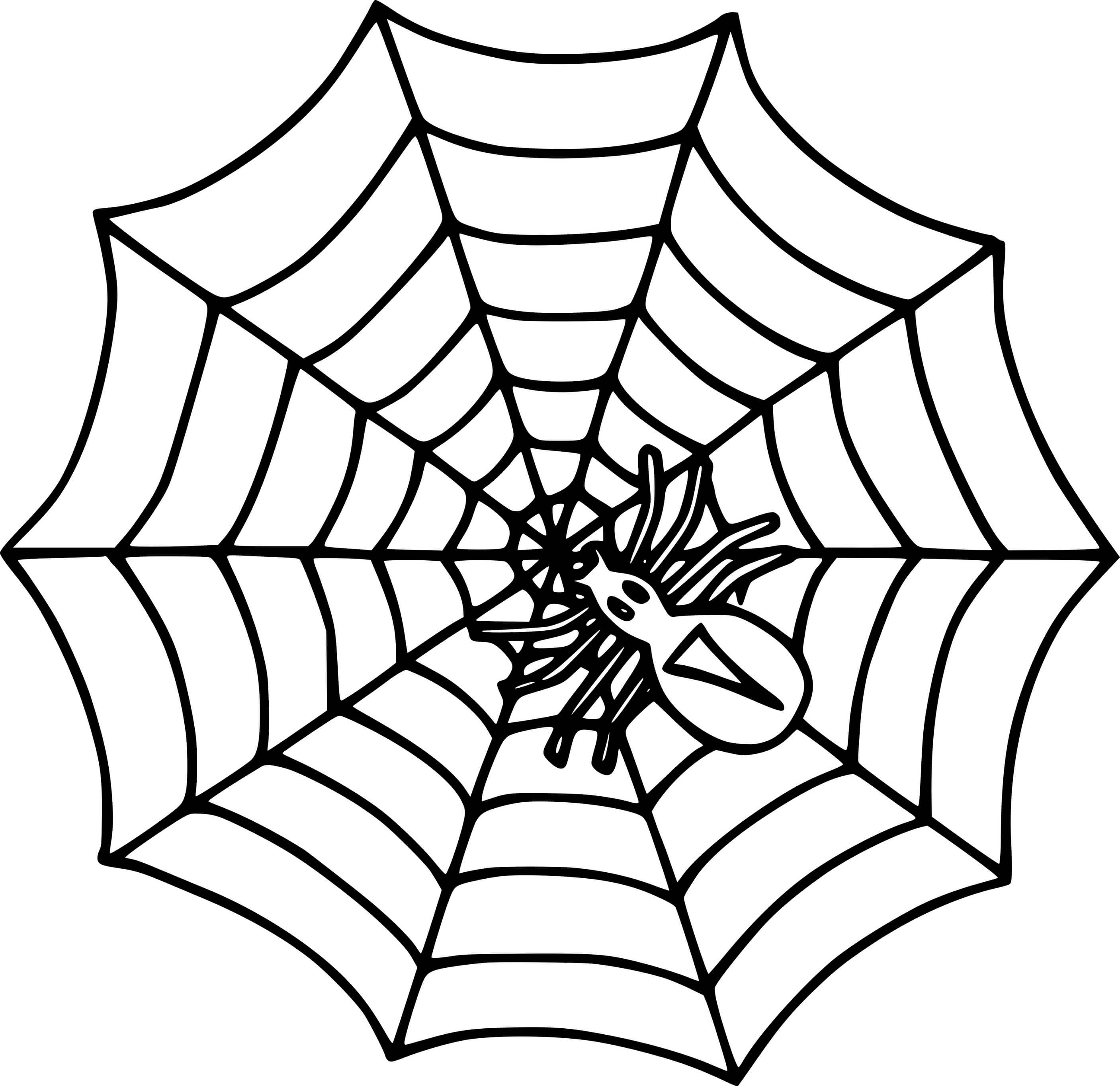 Coloriage Araignée simple - Araignée à imprimer