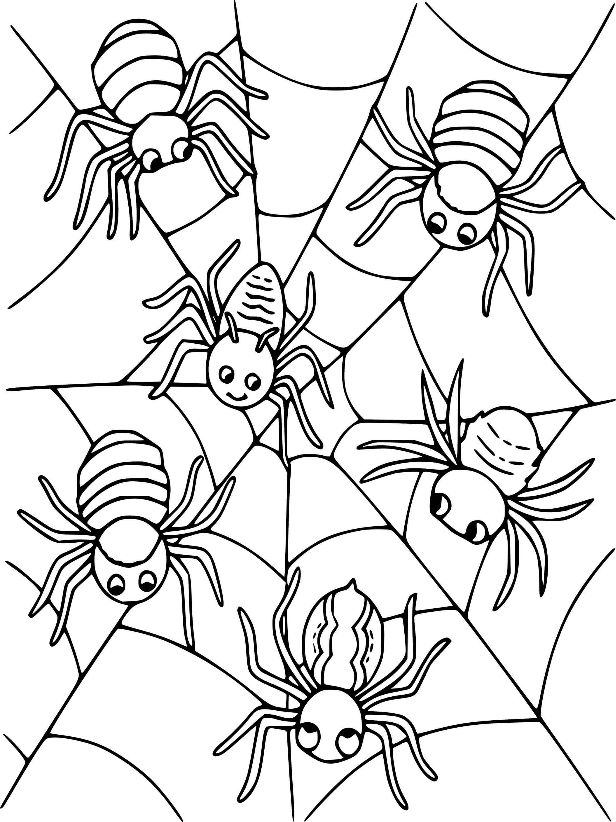 Coloriage Six Araignées - Araignée à imprimer