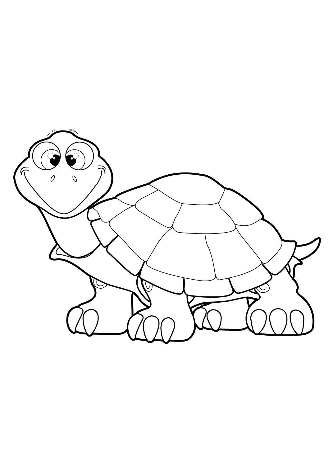 Coloriage Tortue aquatique dans son habitat naturel - Gulli à imprimer