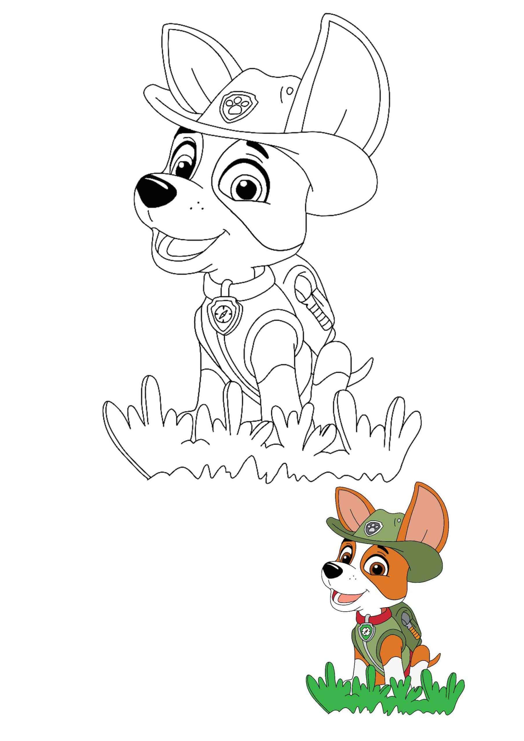 Coloriage Tracker l'explorateur jungle Pat Patrouille - Paw patrol à imprimer