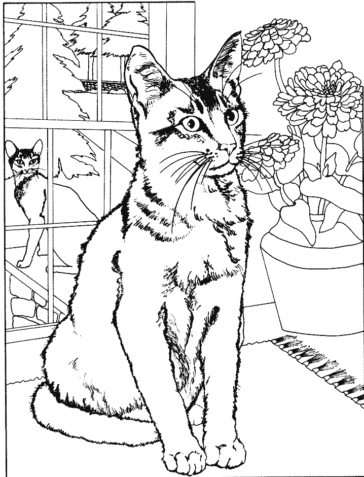 Coloriage Un Chat A L'Interieur Et Un Autre A L'Exterieur De La Maison - Chat à imprimer