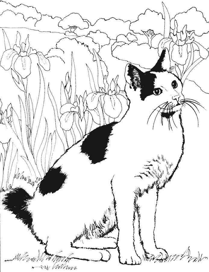 Coloriage Un Chat Dans Le Jardin - Chat à imprimer