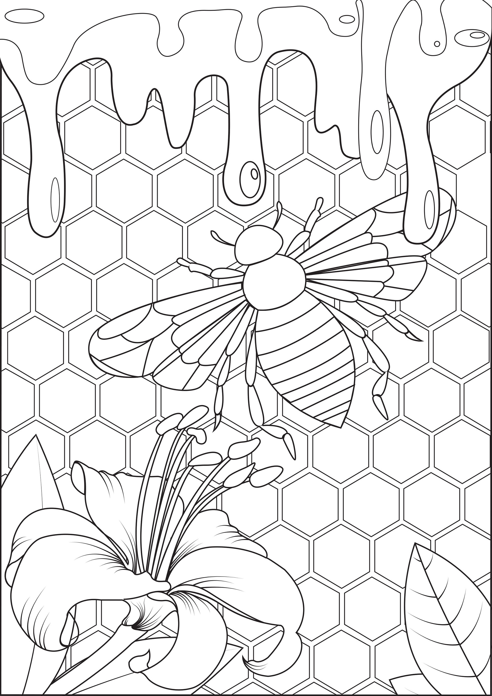 Coloriage Abeille Production De Miel Habitat - Abeille à imprimer