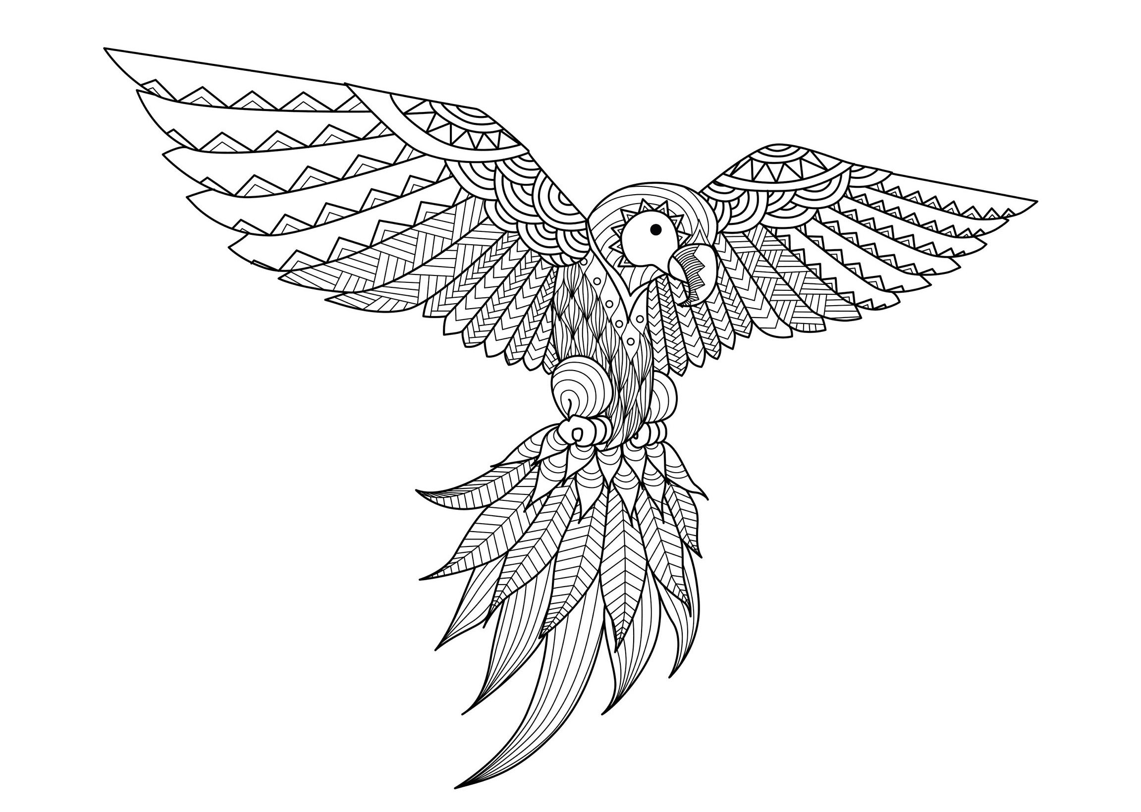 Coloriage Adulte Difficile Zentangle Perroquet Par Bimdeedee - Adulte à imprimer