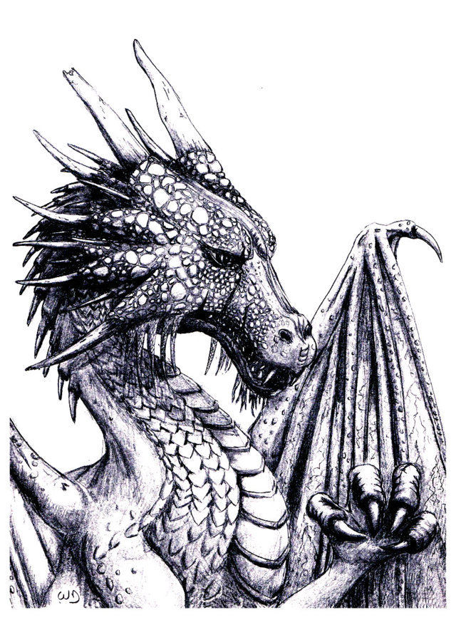 Coloriage Adulte Dragon - Dragon à imprimer