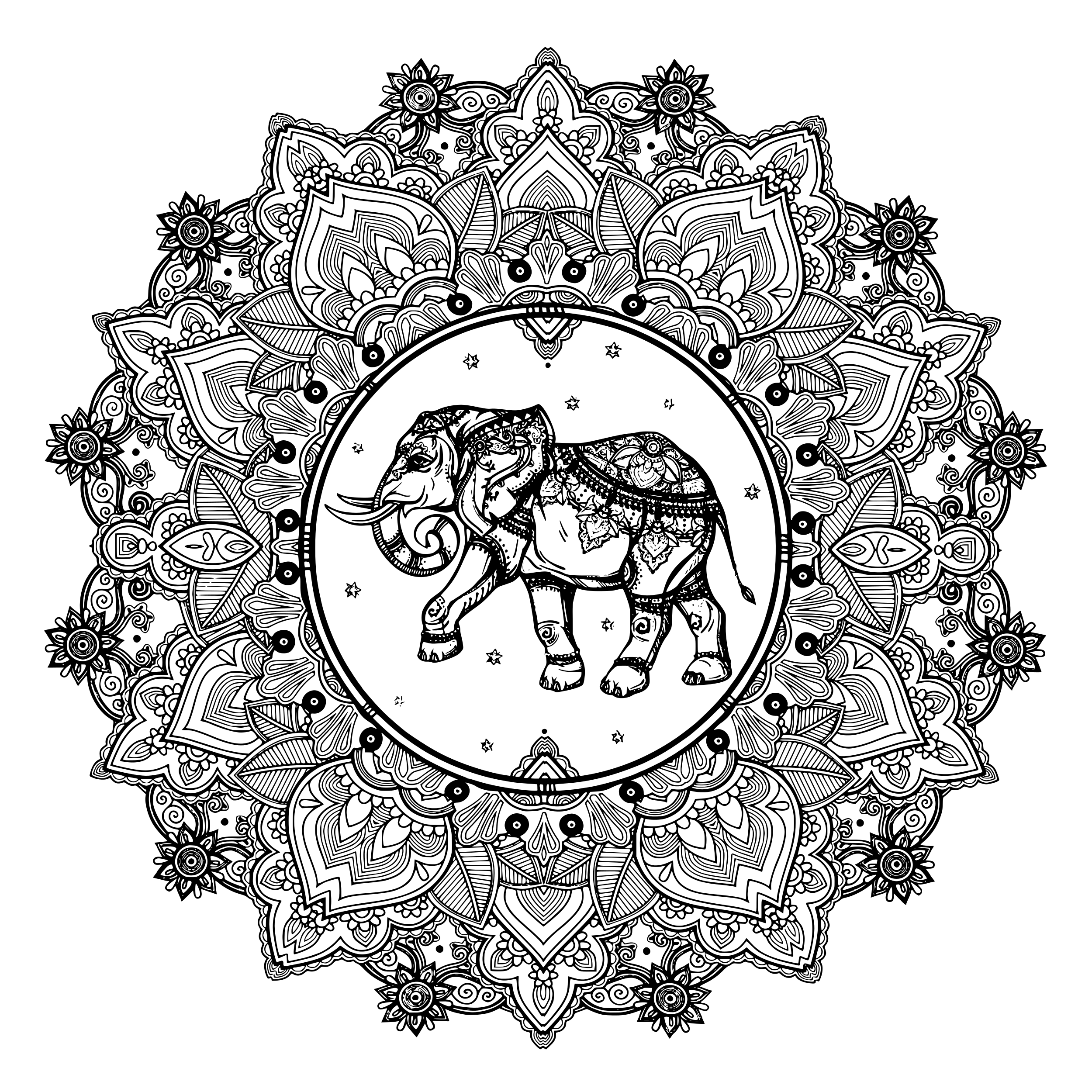 Coloriage Adulte Mandala Éléphant Inde - Adulte à imprimer