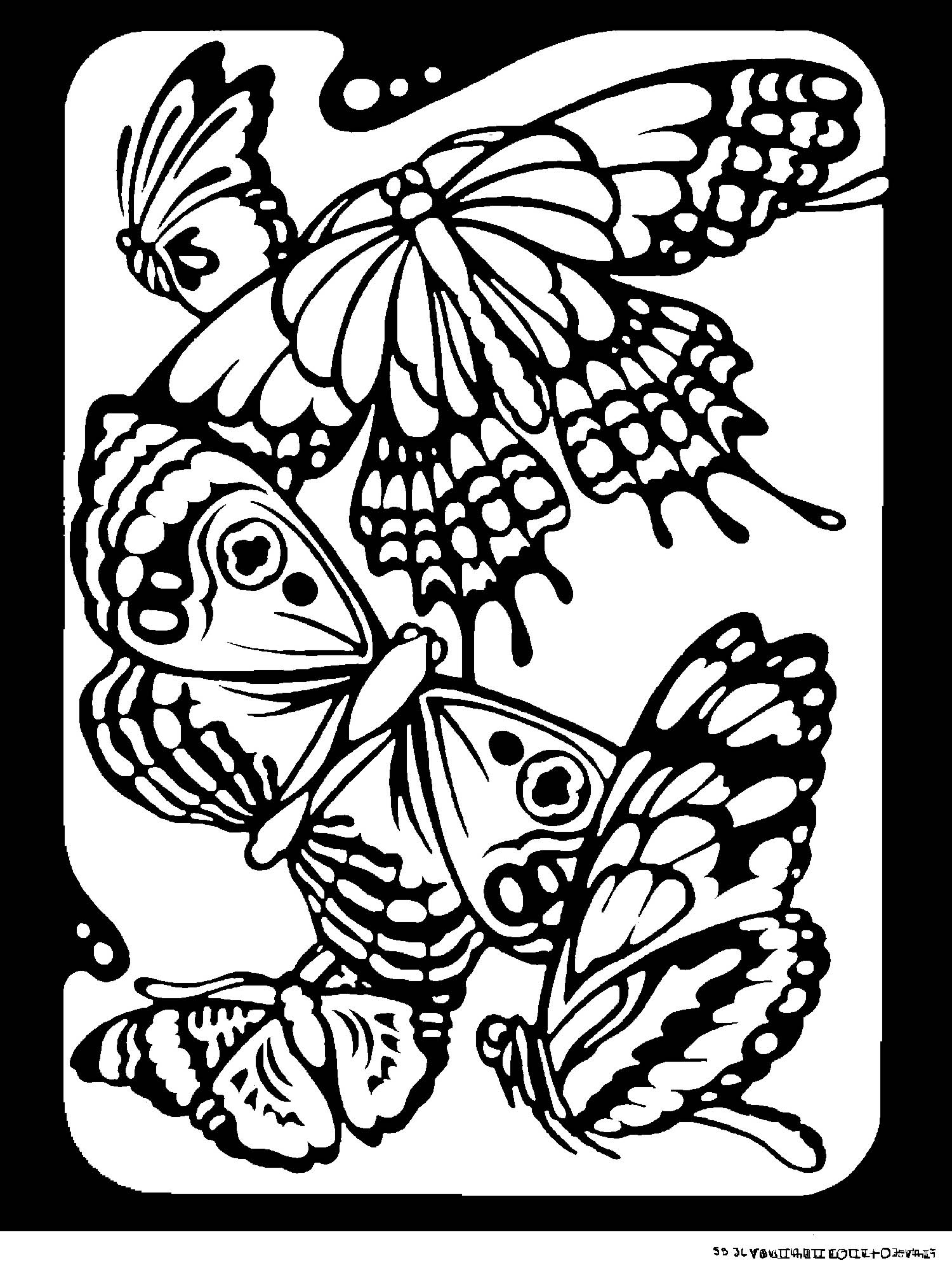 Coloriage Papillon aux ailes ornementées - Papillon à imprimer