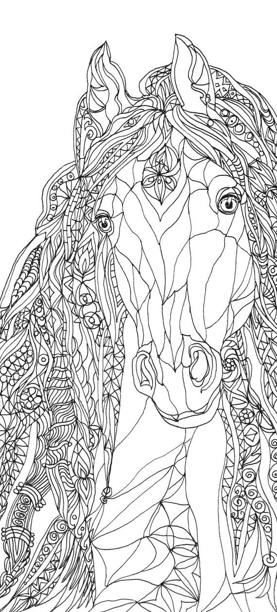 Coloriage Adulte Portrait Adulte Antistress - Adulte cheval à imprimer