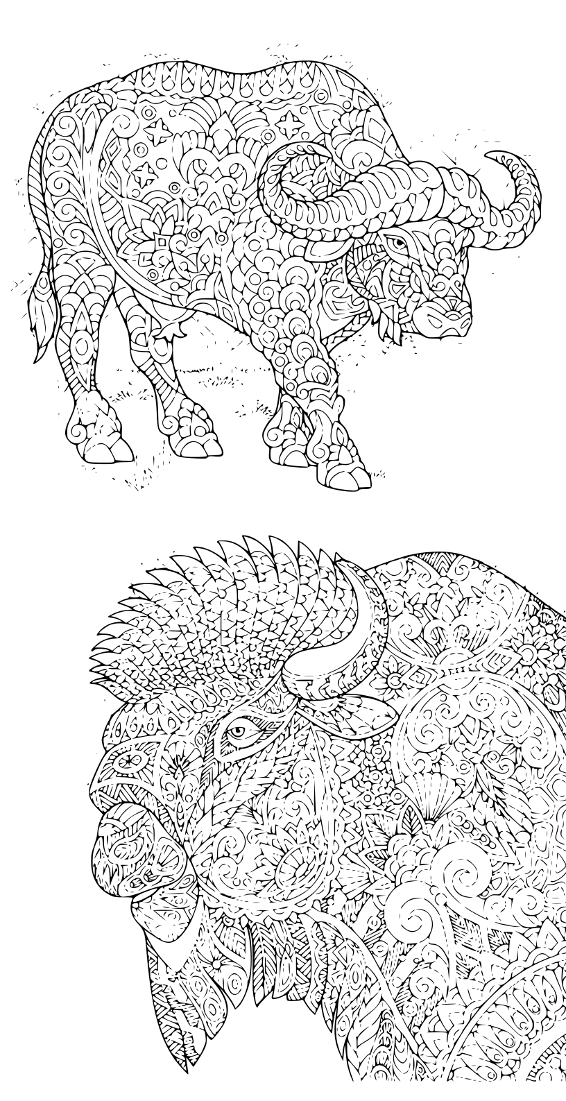 Coloriage Adultes Avec Bisons Antistress - Adulte à imprimer