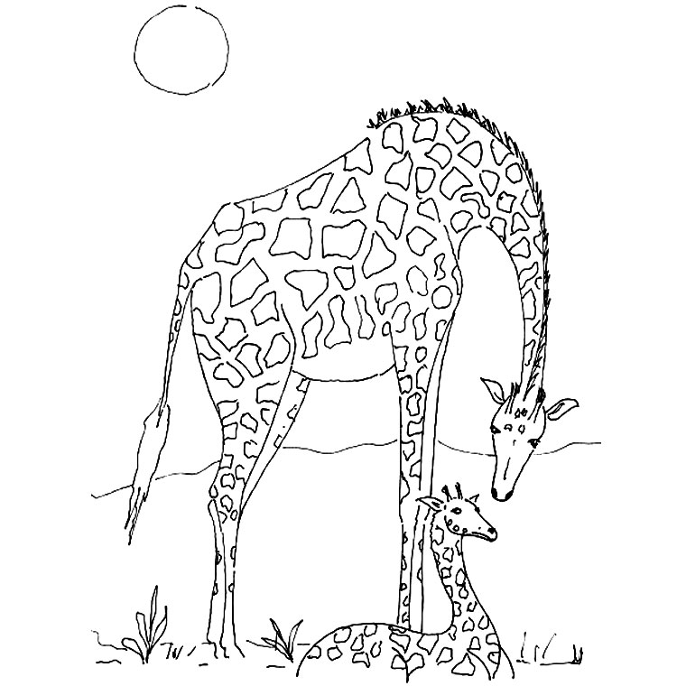 Coloriage Afrique Animaux - Animaux à imprimer