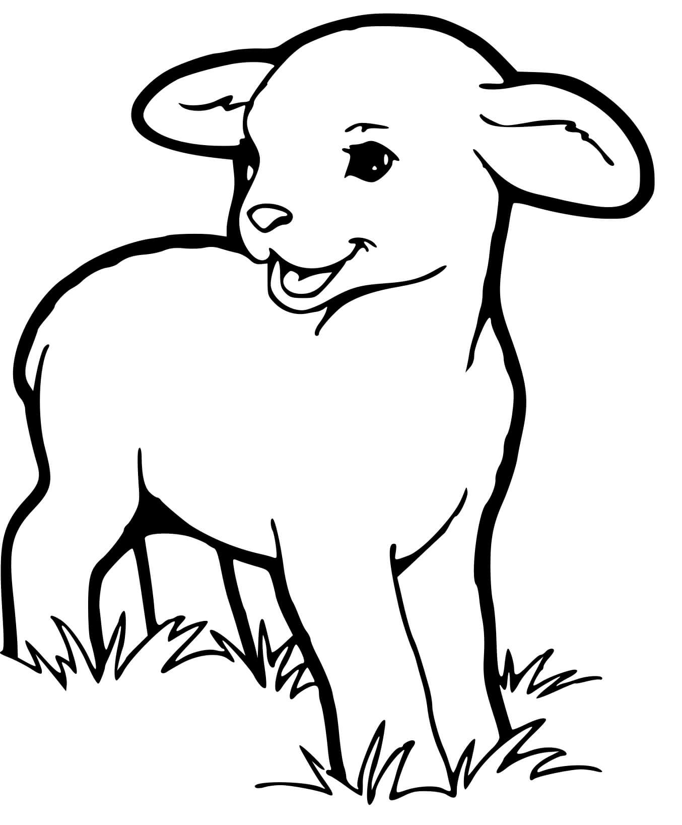 Coloriage Agneau Le Jeune Mouton - Mouton à imprimer