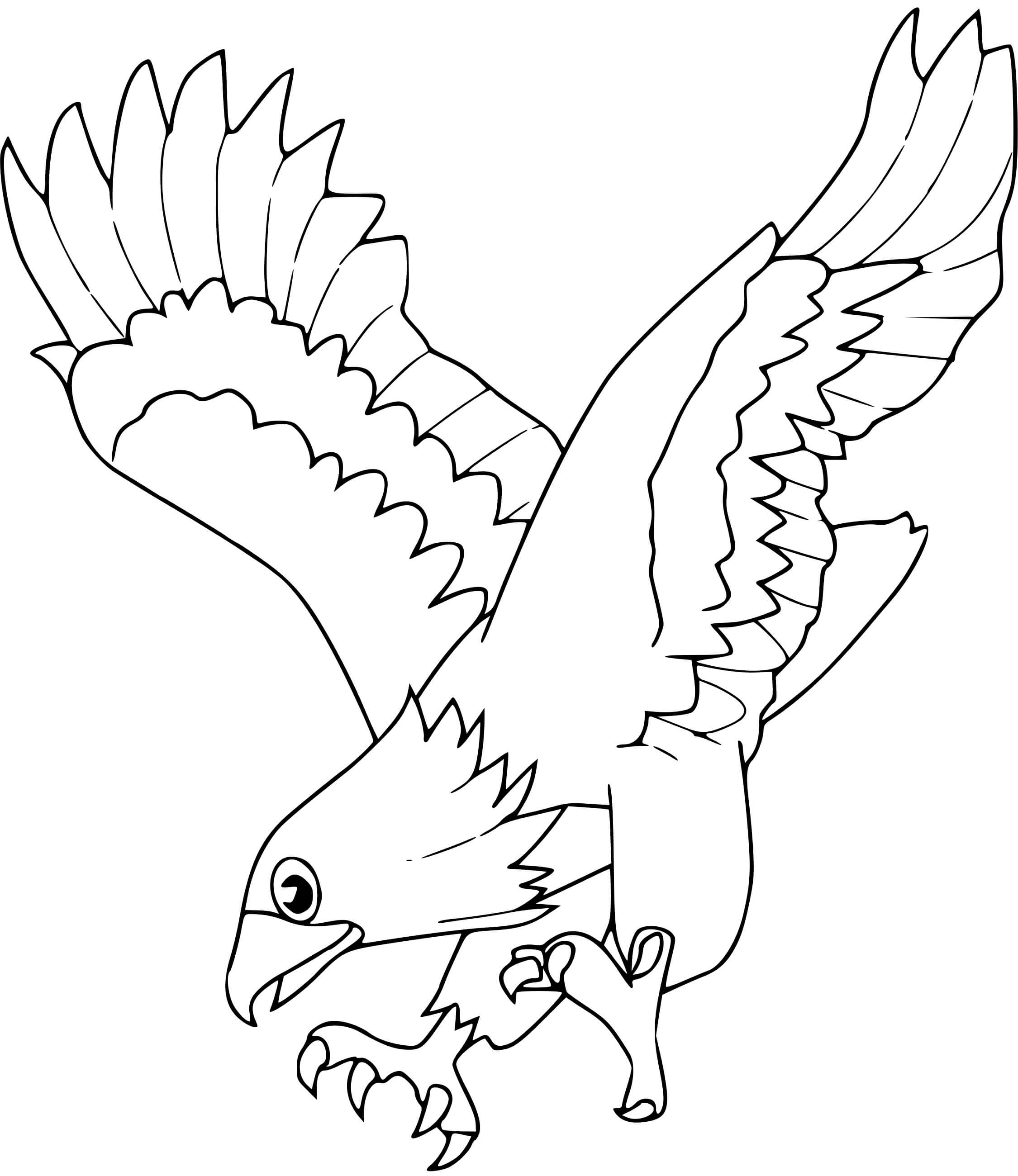 Coloriage Aigle - Oiseau à imprimer