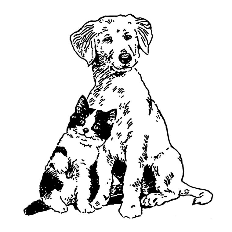 Coloriage Amitie Chien Chat Dessin Noir Blanc - Chien et chat à imprimer