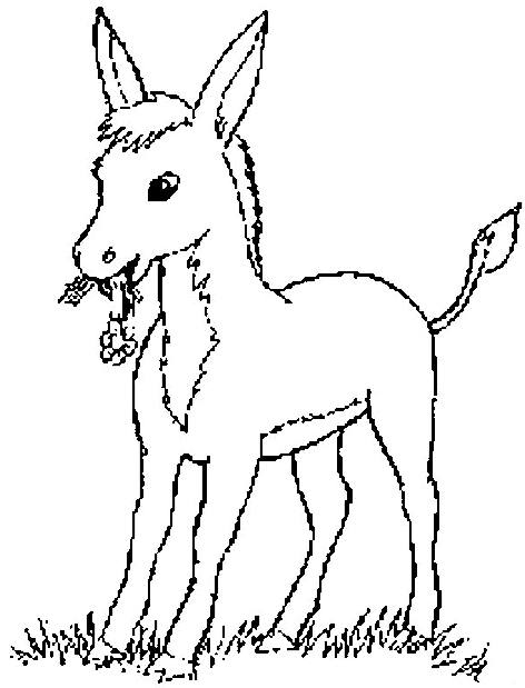 Coloriage Âne Qui Mange - Animaux à imprimer