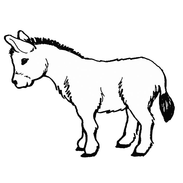 Coloriage Âne - Maternelle à imprimer