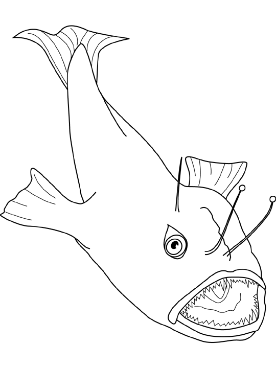 Coloriage Anglerfish - Poisson à imprimer