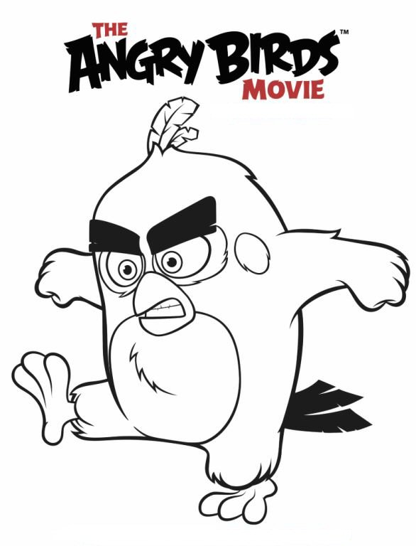 Coloriage Angry Birds le Film - Angry birds à imprimer