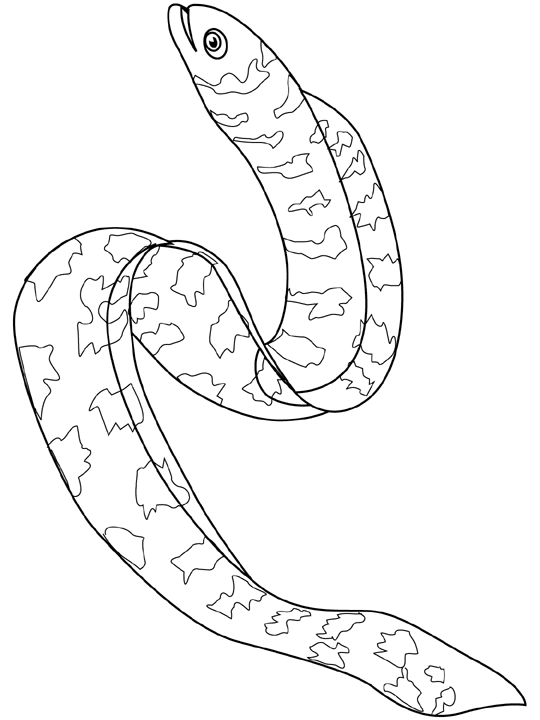Coloriage Anguille - Poisson à imprimer