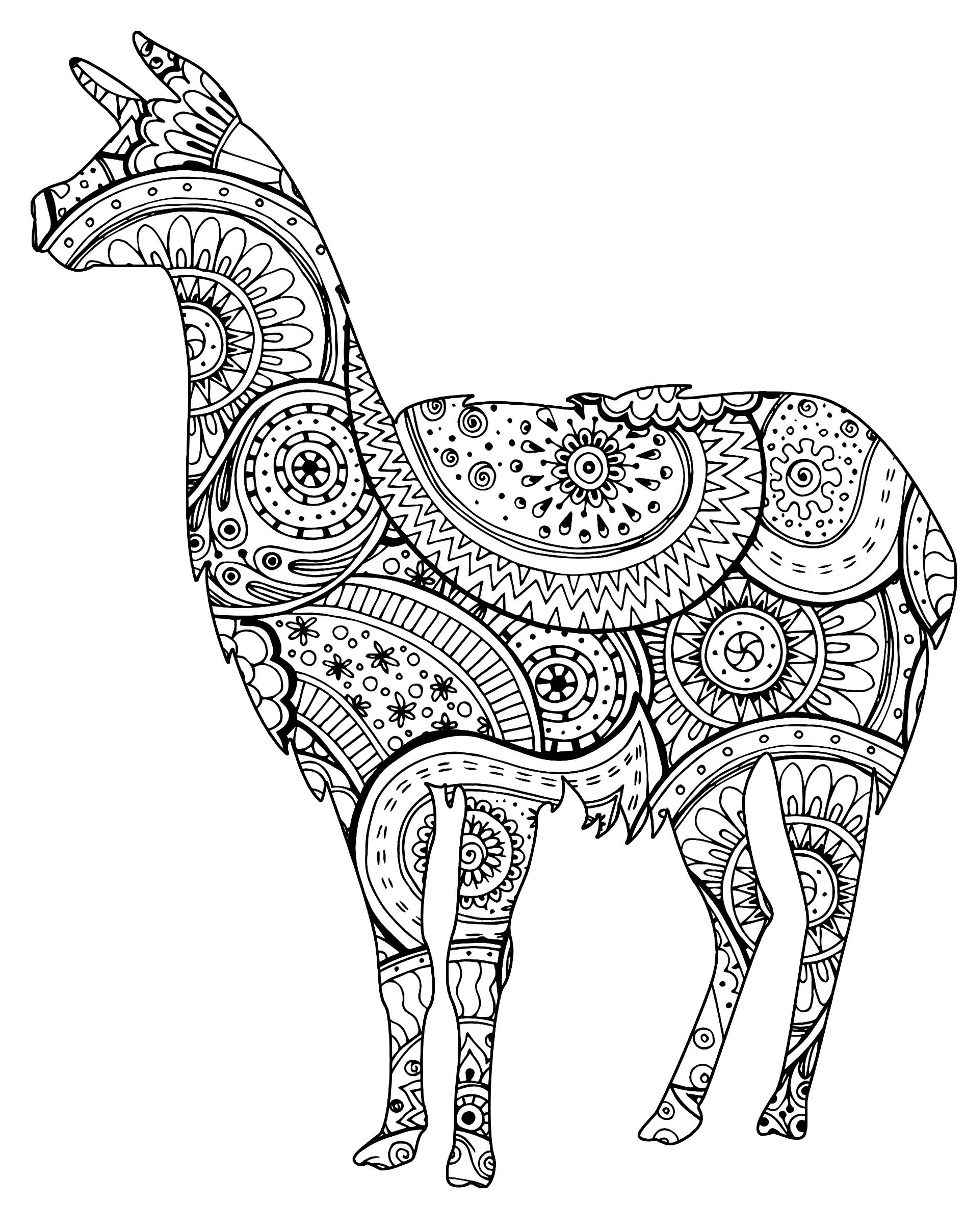 Coloriage Animal Lama Avec Zentangle Paisley Motifs - Adulte animaux à imprimer