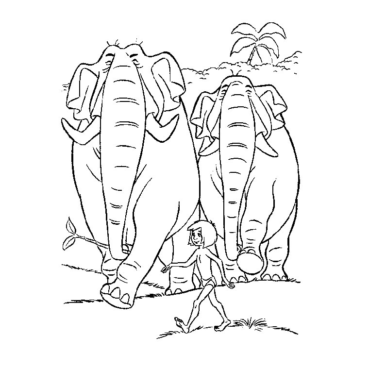 Coloriage Animaux De La Jungle - Animaux à imprimer