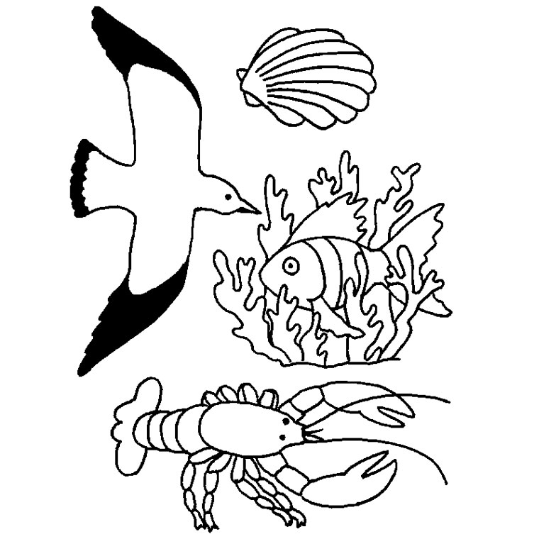 Coloriage Animaux De La Mer - Animaux à imprimer