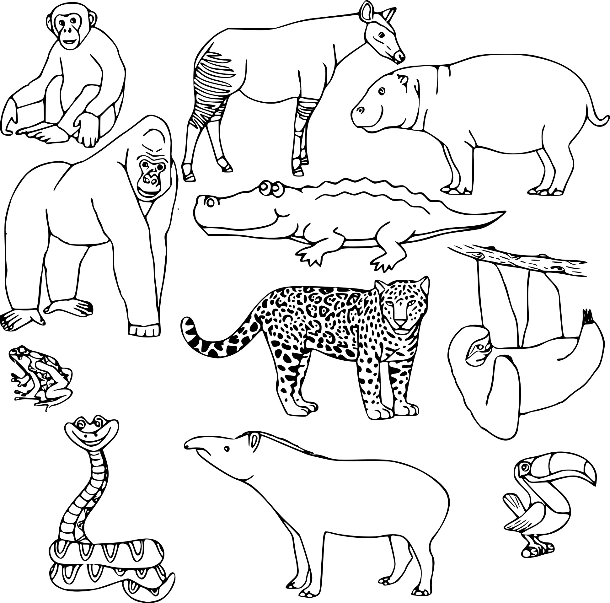 Coloriage Animaux Sauvages Dans La Jungle En Nature - Animaux de la jungle à imprimer