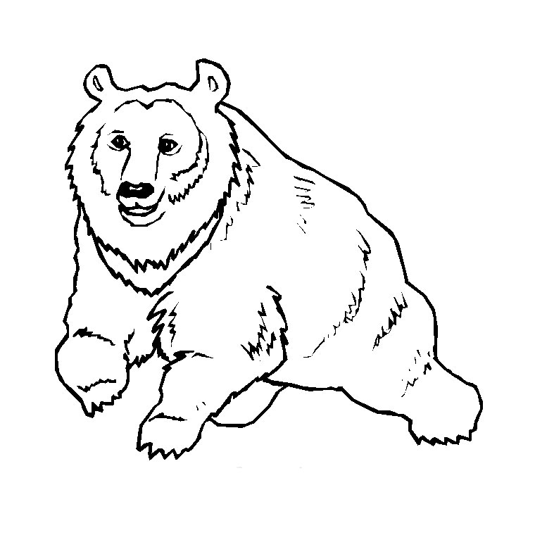Coloriage Animaux Sauvages - Animaux à imprimer