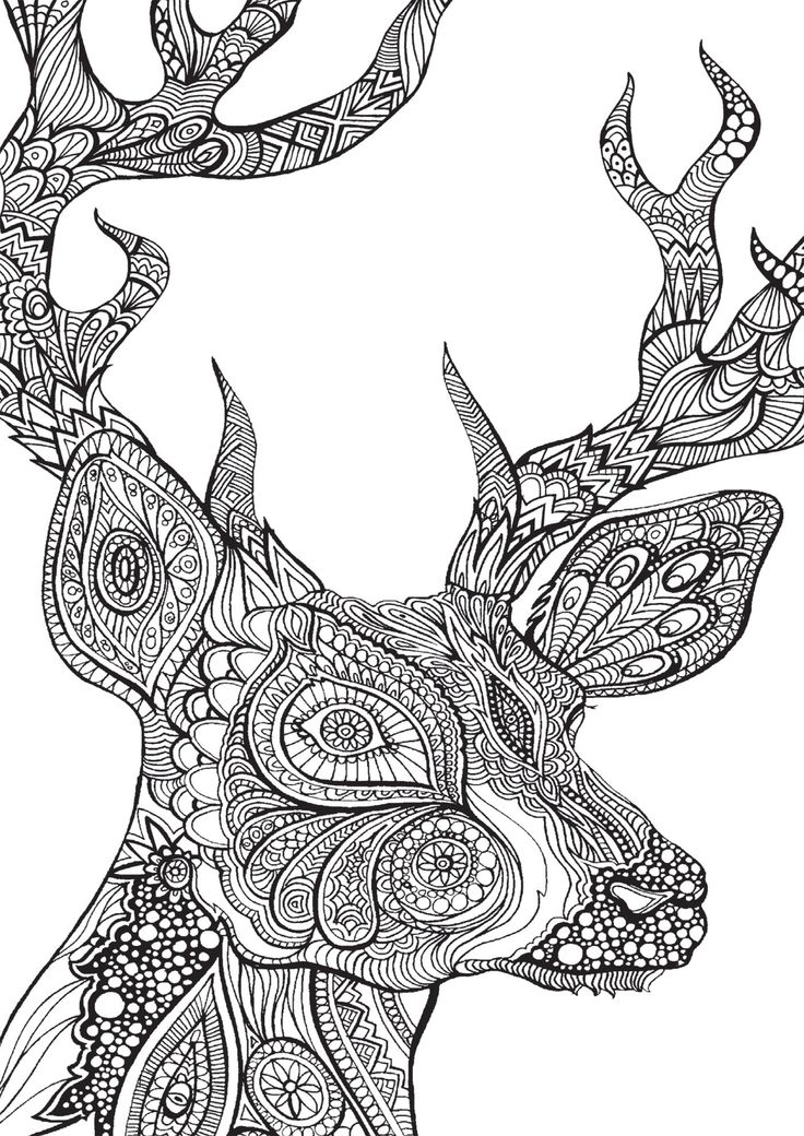 Coloriage Spirales et formes apaisantes pour adulte - Adulte à imprimer