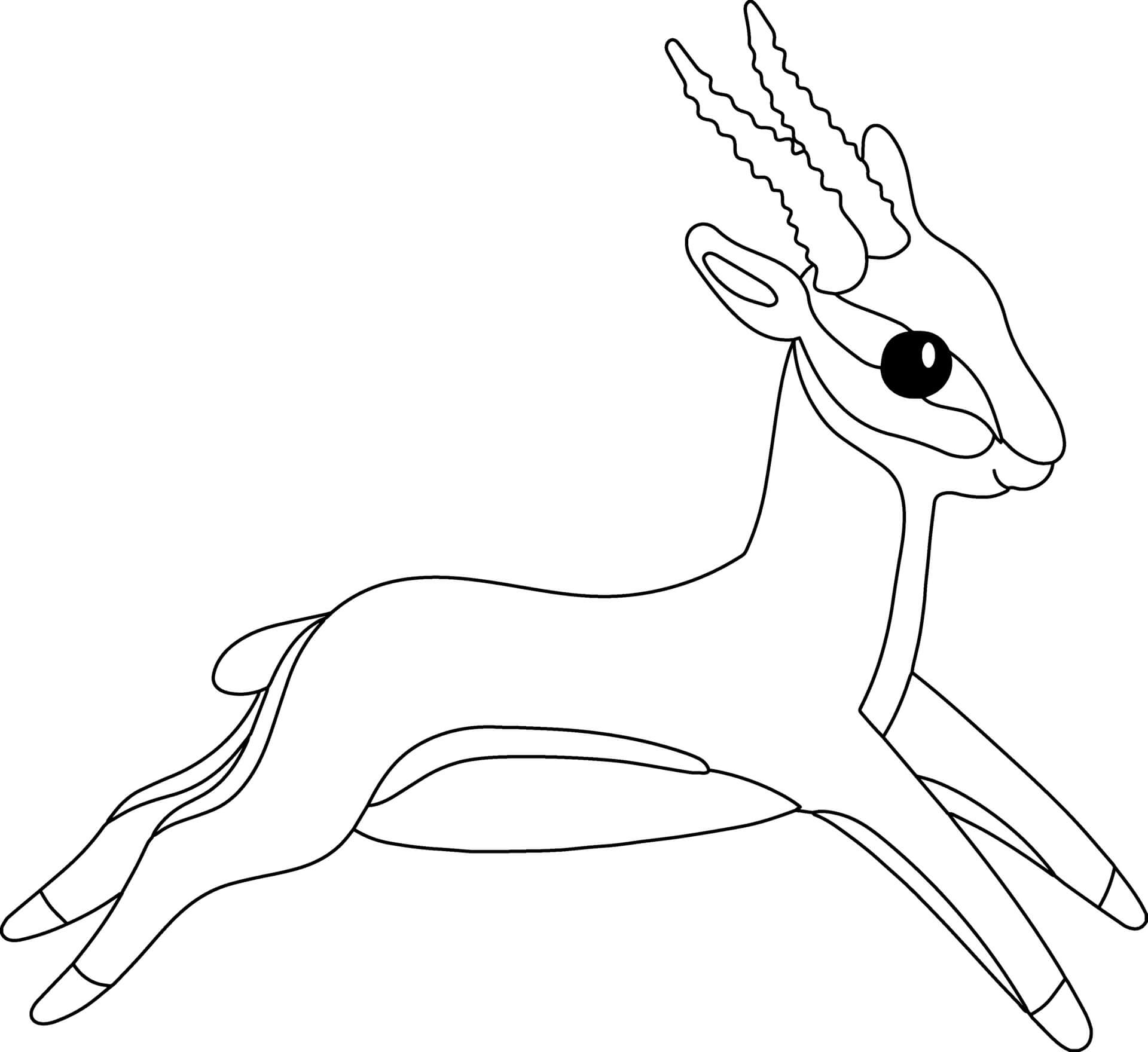 Coloriage Antilope Avec Des Pattes Menues Et Cornes Longues Arquees Vivant En Afrique Asie Et Amerique Du Nord - Animal à imprimer