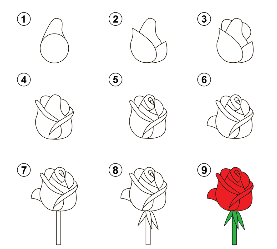 Coloriage Apprendre A Dessiner Une Rose - Dessin facile à imprimer