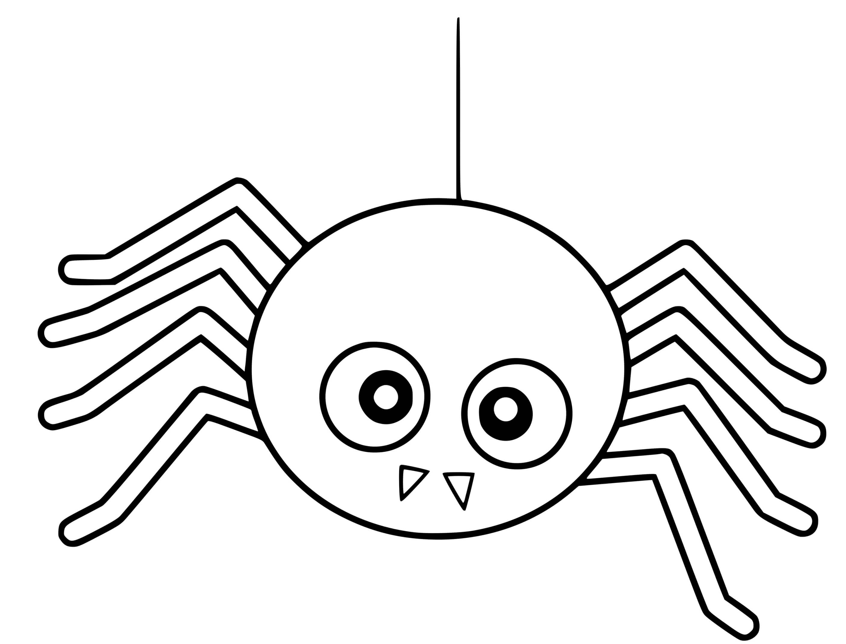 Coloriage Araignée Animal - Araignée à imprimer