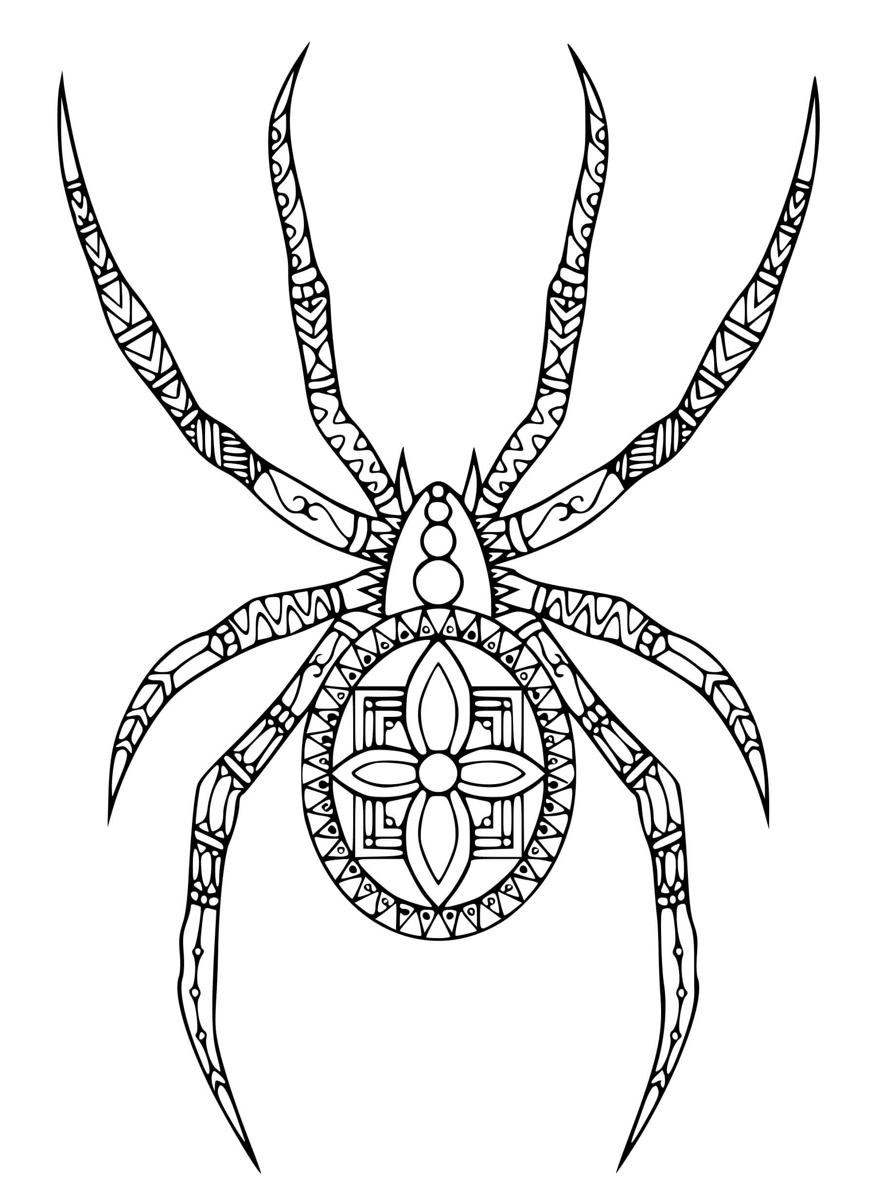 Coloriage Araignée Dessinee Dans Style Doodle - Araignée à imprimer