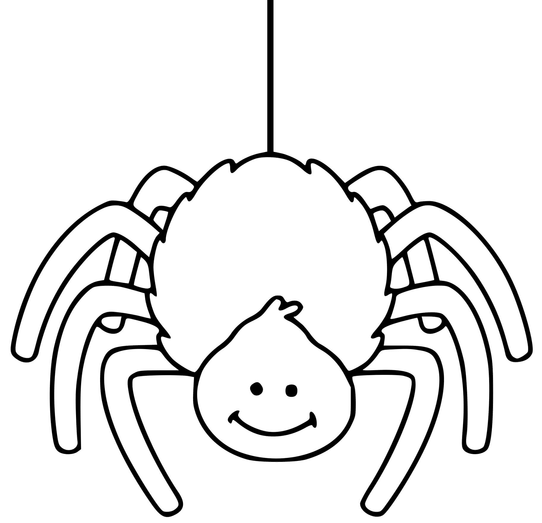 Coloriage Araignée Facile Maternelle - Araignée à imprimer