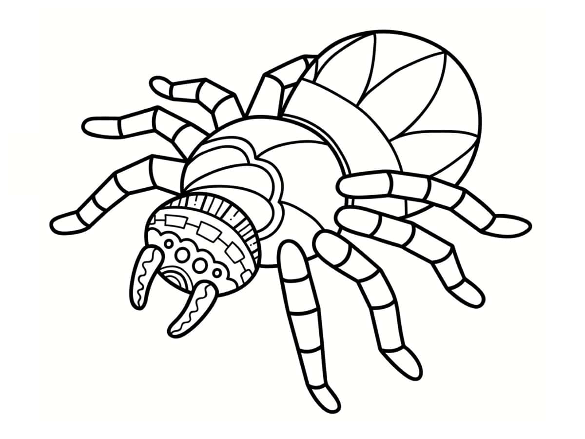 Coloriage Araignée Mandala Pour Relaxer - Araignée à imprimer