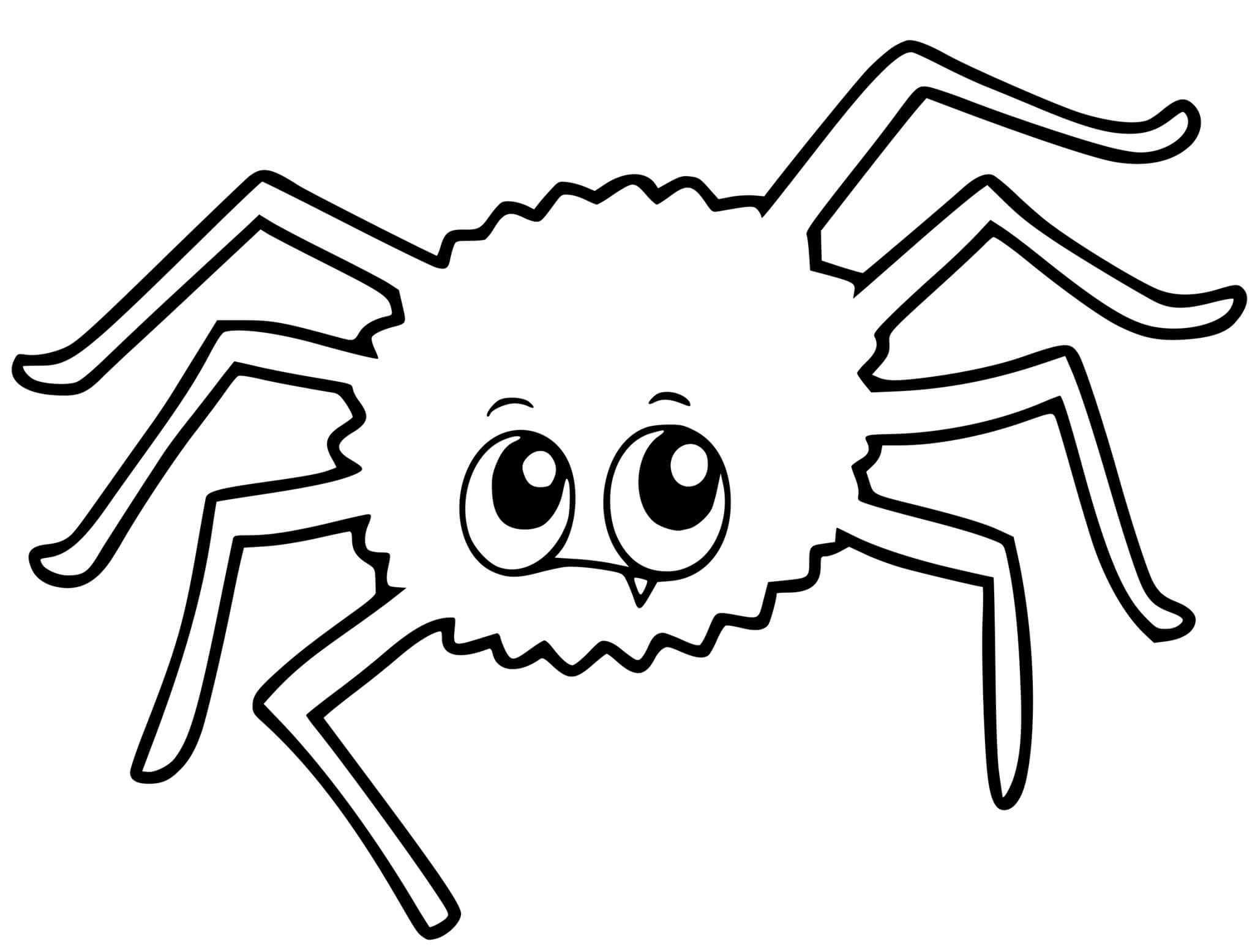 Coloriage Araignée Maternelle Ps - Araignée à imprimer