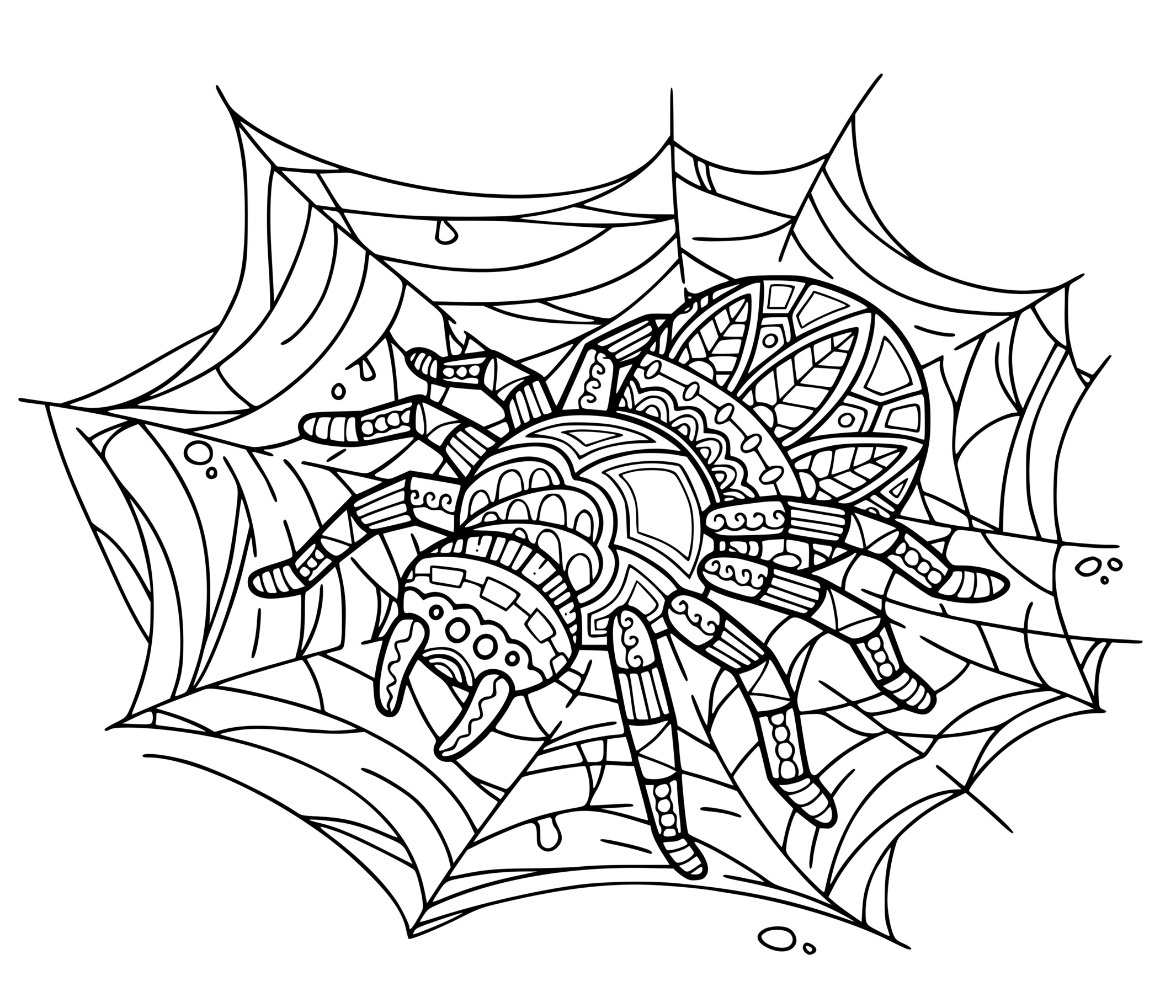 Coloriage Araignée Zentangle - Halloween à imprimer