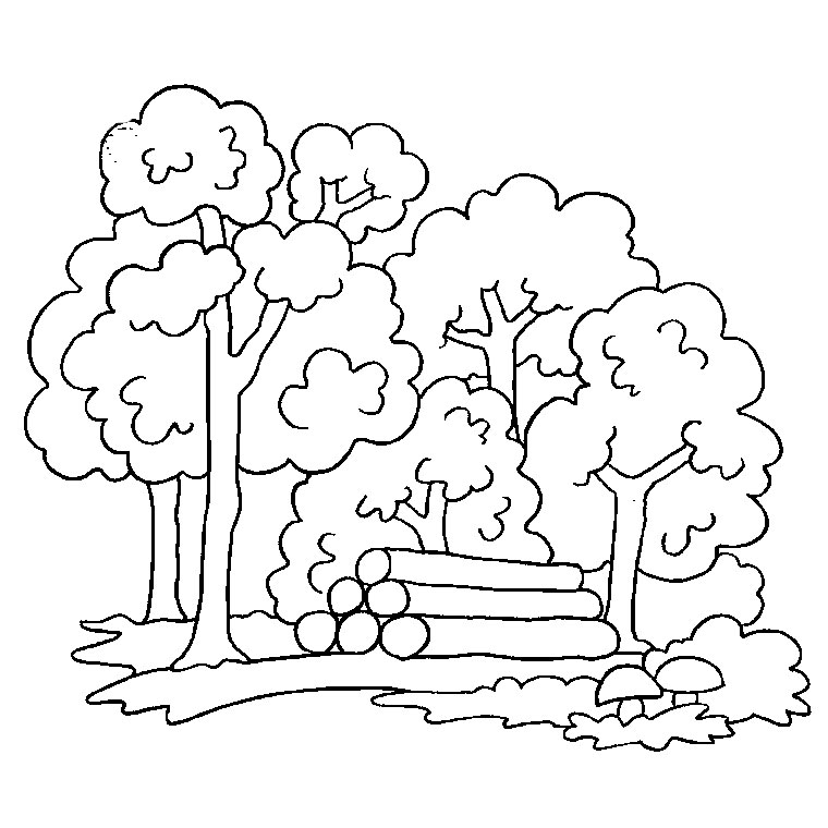 Coloriage Arbre D'Automne - Arbre à imprimer