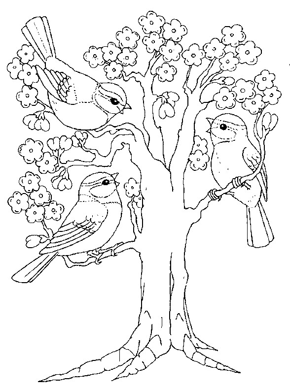 Coloriage Arbre Printemps Maternelle - Printemps à imprimer
