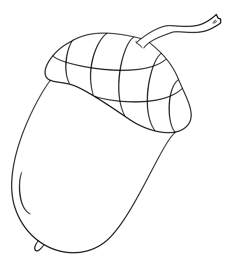 Coloriage Automne Acorn - Automne à imprimer