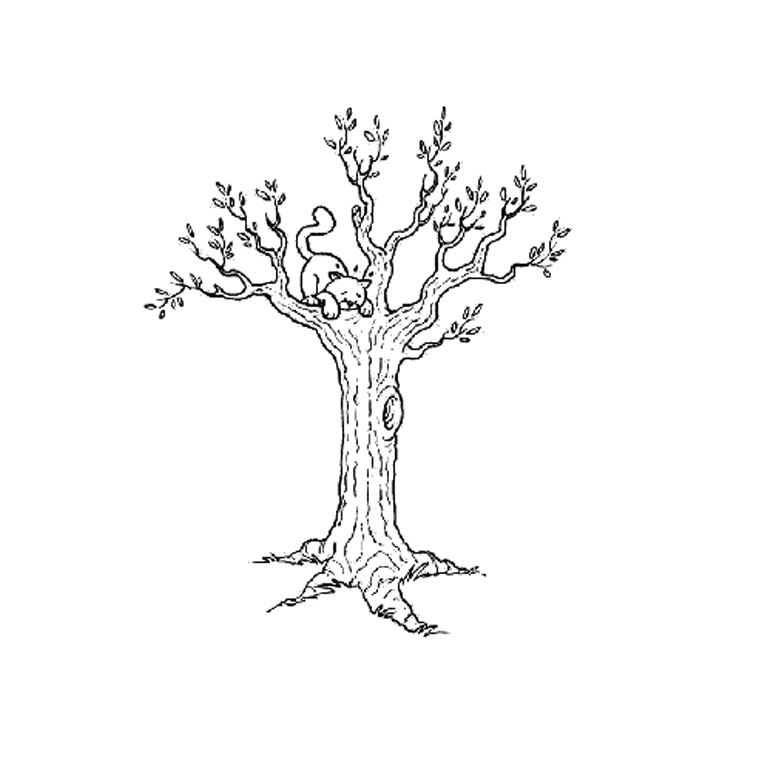 Coloriage Automne Arbre - Arbre à imprimer
