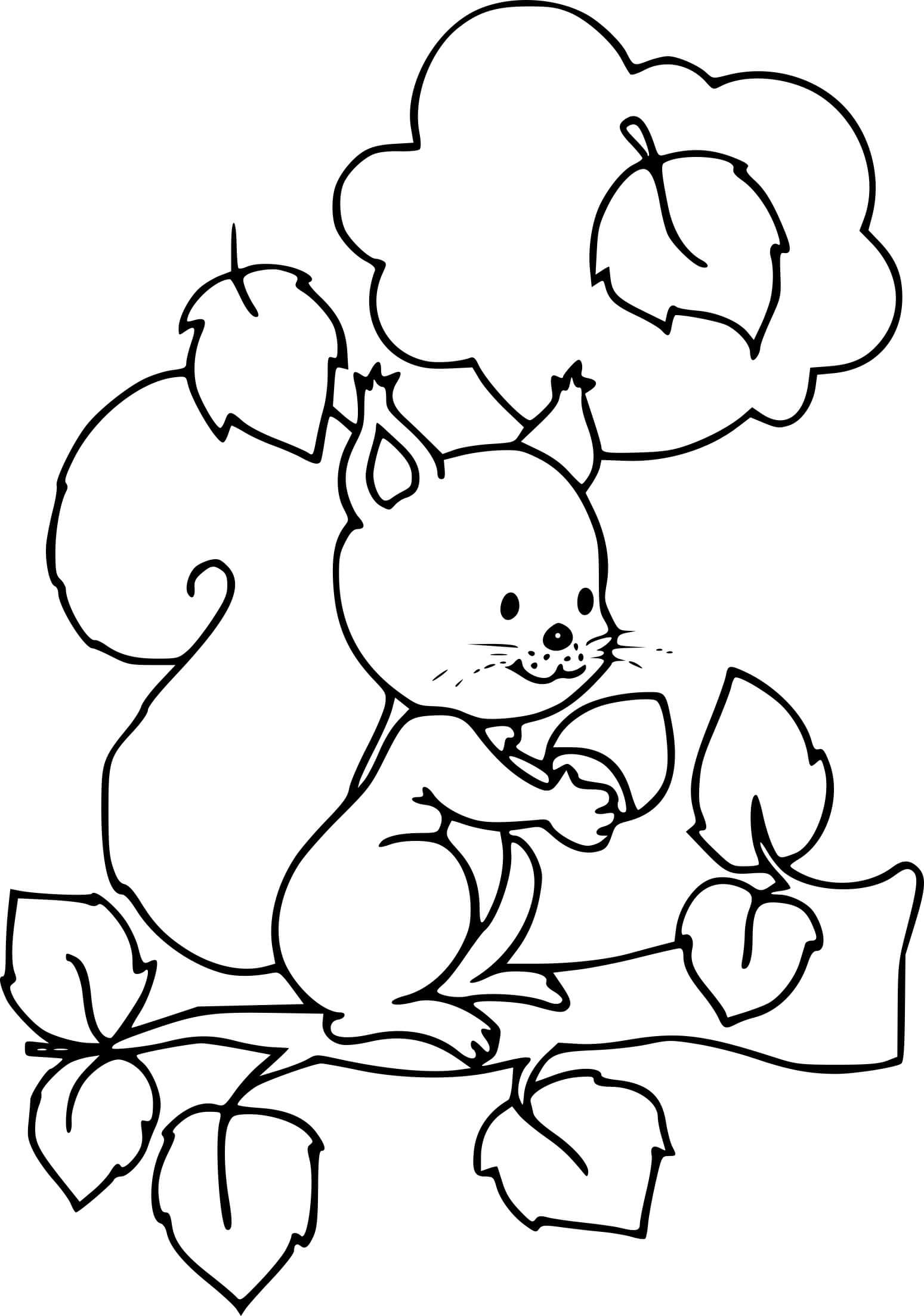 Coloriage Automne Écureuil Avec Des Noix Sur Un Arbre Automne - Écureuil à imprimer