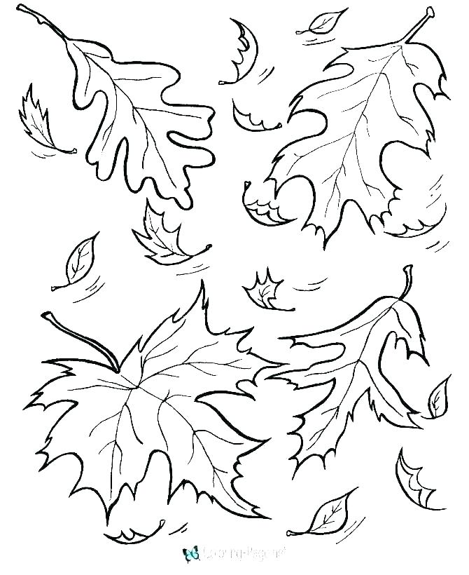Coloriage Automne Feuilles Fall - Feuille automne à imprimer