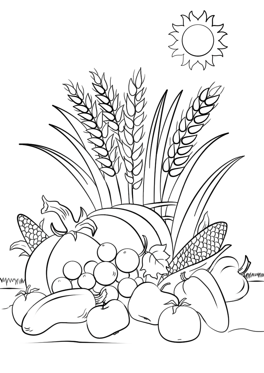 Coloriage Automne Harvest Automne - Automne à imprimer