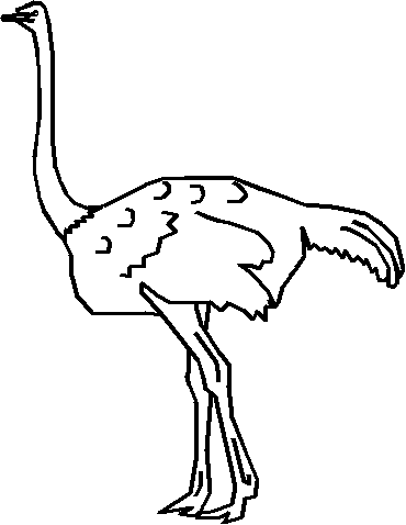 Coloriage Autruche Avec Son Grand Cou - Animaux à imprimer