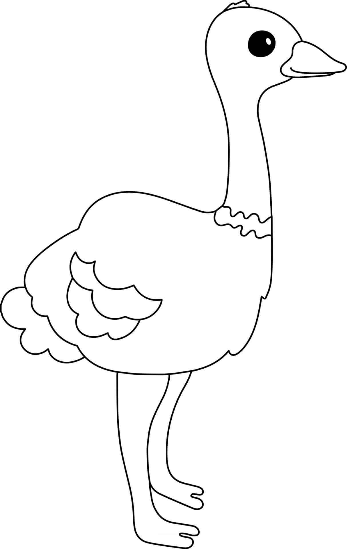 Coloriage Autruche Oiseau - Animal à imprimer