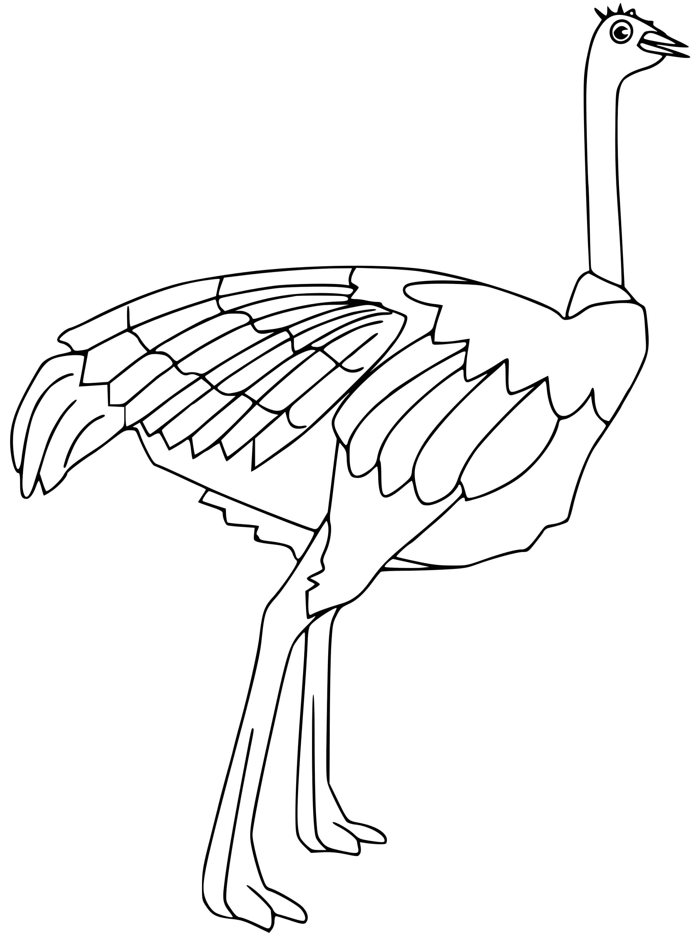 Coloriage Autruche - Oiseau à imprimer