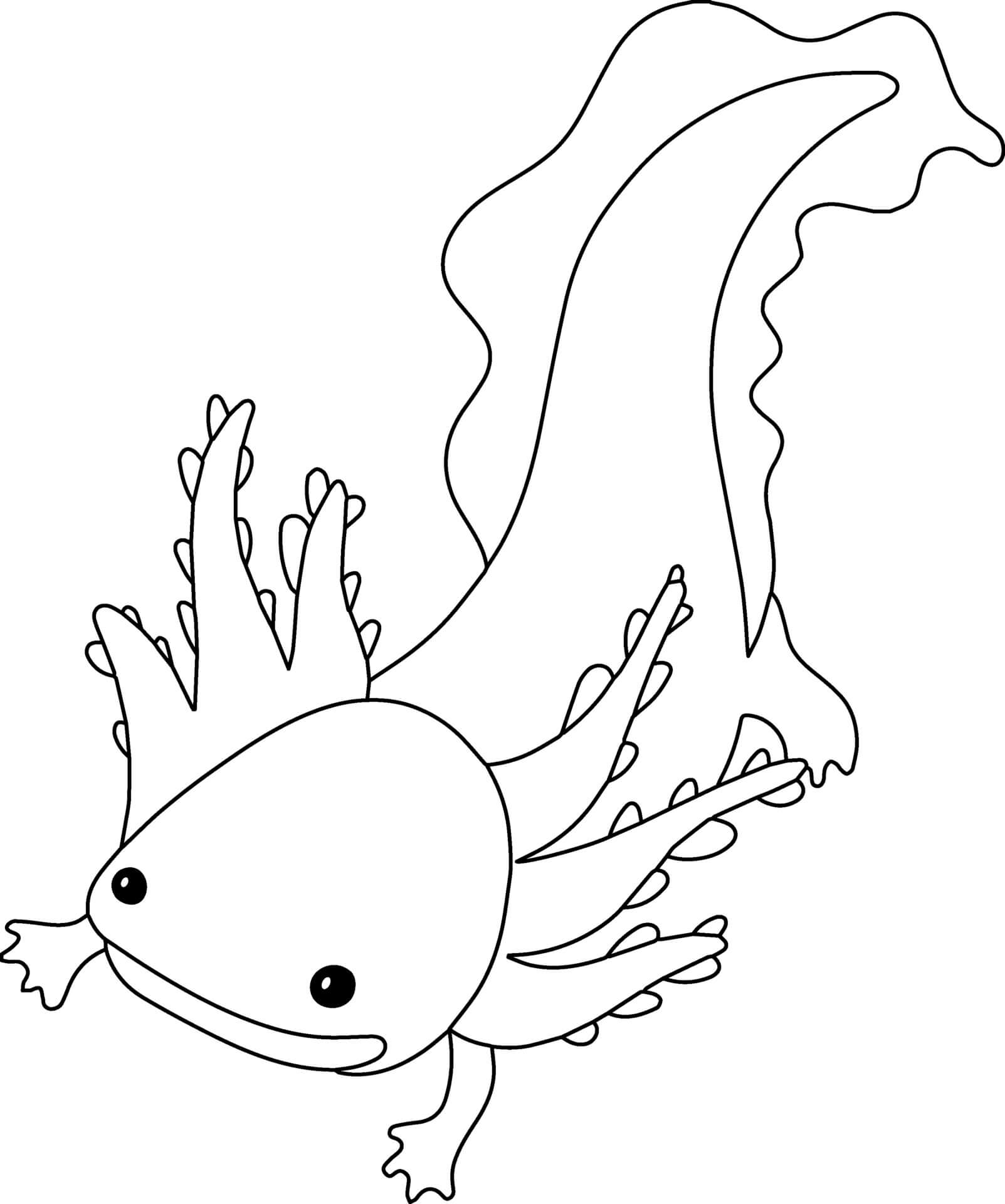 Coloriage Axolotl Animal Marin Qui Passe Toute Leur Vie Sans Jamais Se Metamorphoser En Adulte - Animal à imprimer